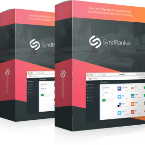 SyndRanker