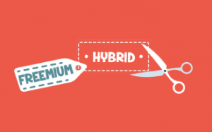 Ecommerce Premium Hybrid