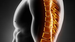 Adam Wolf - Thoracic Spine Assessment And Treatment