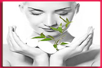 Michael And Robin Mastro - Create Lasting Love & Prosperity Program