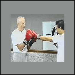Don Familton - Superior Boxing Complete