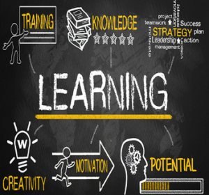 Rimantas Petrauskas - Trading Strategy Launch Framework