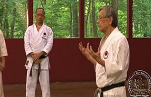 Shotokan Masters: ISKF Master Camp Training 3 DVD Set