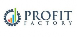Profit Factory - Basics Of Systemization