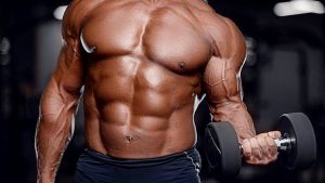 Christian Thibaudeau - High frequency bodybuilding program