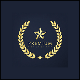 Tony Flores - The Email Millionaires System