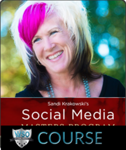 Sandi Krakowski - Social Media Masters ON DEMAND VIDEO SCHOOL