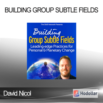 David Nicol - Building Group Subtle Fields