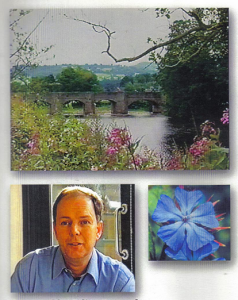Journey into Healing Bach Flower Remedies