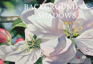 Birgit O'Connor - Backgrounds & Shadows Special 6-week Interactive course
