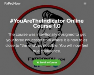 Philip Anglade - YouAreTheIndicator Online Course 1.0 2020