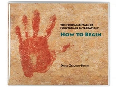 David Zemach-Bersin - Fundamentals of Functional Integration