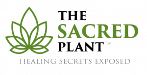 John Malanca - The Sacred Plant - How To Make It Work For You Masterclass