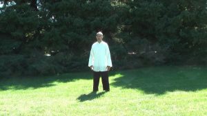 Wing Cheun Tal Chi Qigong Shibashi ST Set 1