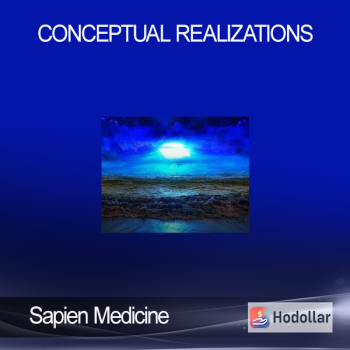 Sapien Medicine - Conceptual Realizations