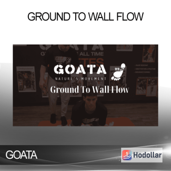GOATA - Ground To Wall Flow