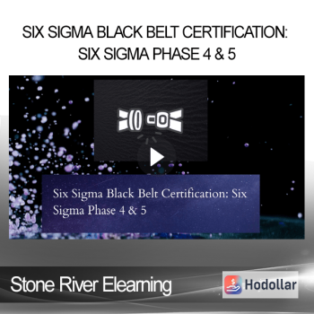 Stone River Elearning - Six Sigma Black Belt Certification: Six Sigma Phase 4 & 5