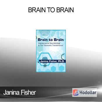 Janina Fisher - Brain to Brain: Interpersonal Neurobiology & The Traumatic Transference