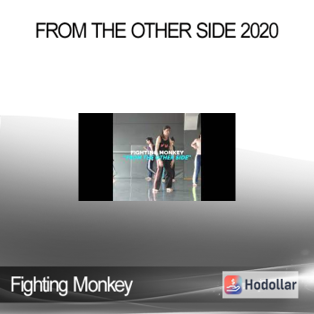 Fighting Monkey - From the Other Side 2020